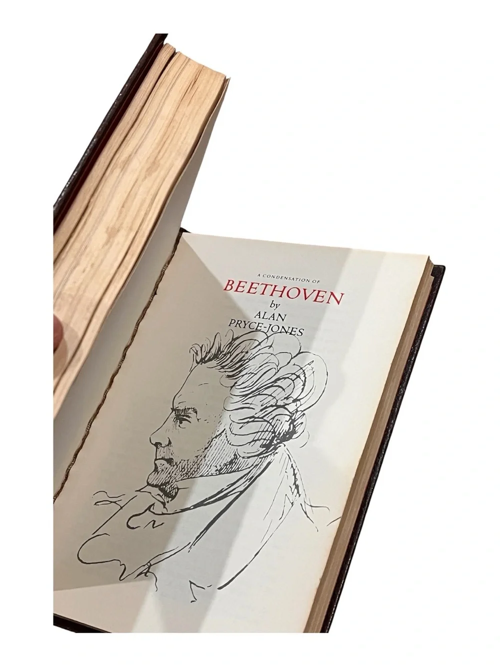 Hidden book safe